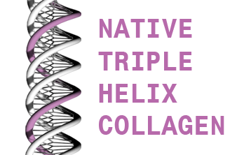 Native Triple Helix Collagen